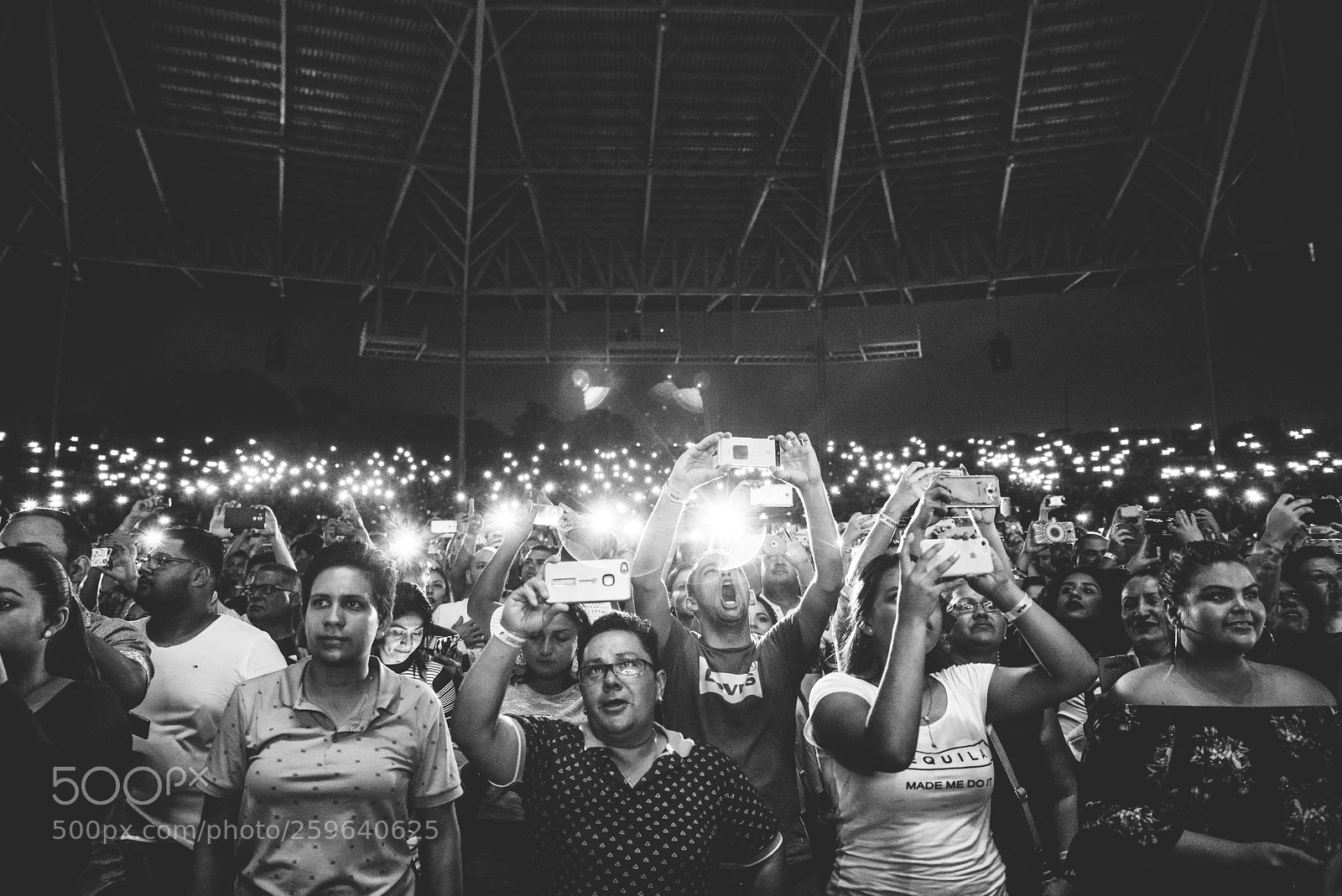 Nikon D750 sample photo. Emoción de fans photography