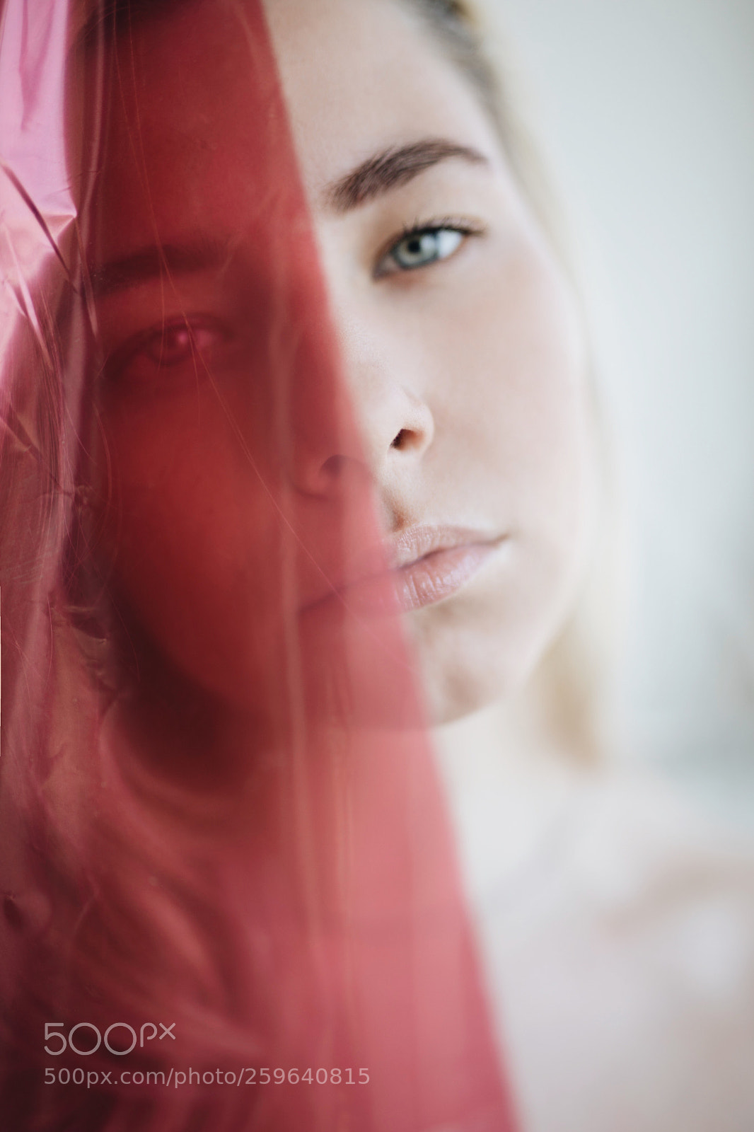 Canon EOS 5D Mark IV sample photo. Untitled photography