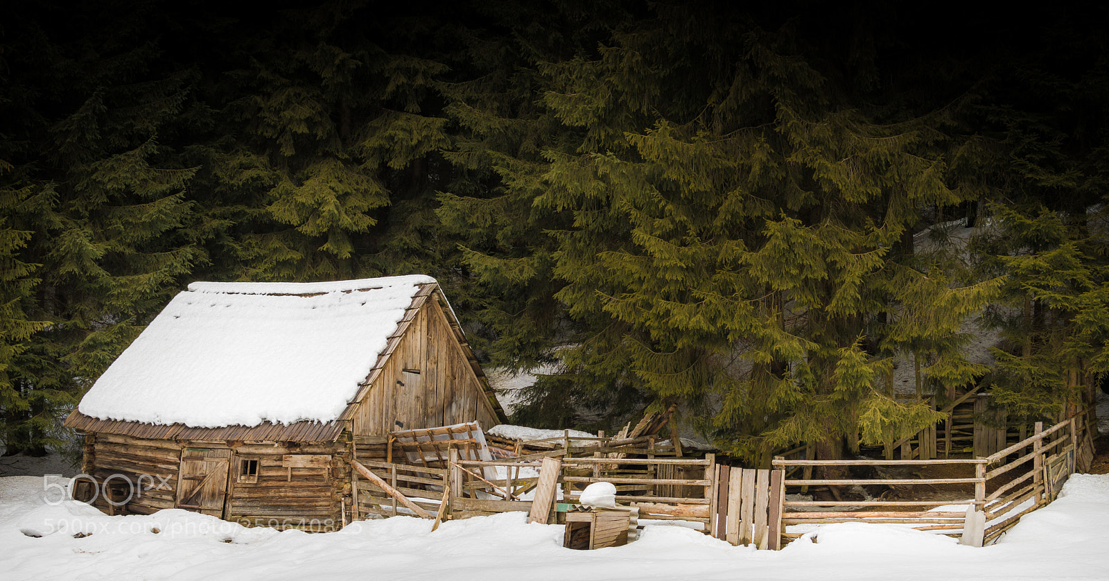 Nikon D500 sample photo. Hut in the woods photography