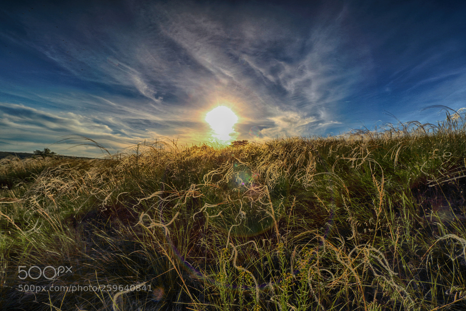 Canon EOS 7D Mark II sample photo. Solar wind photography