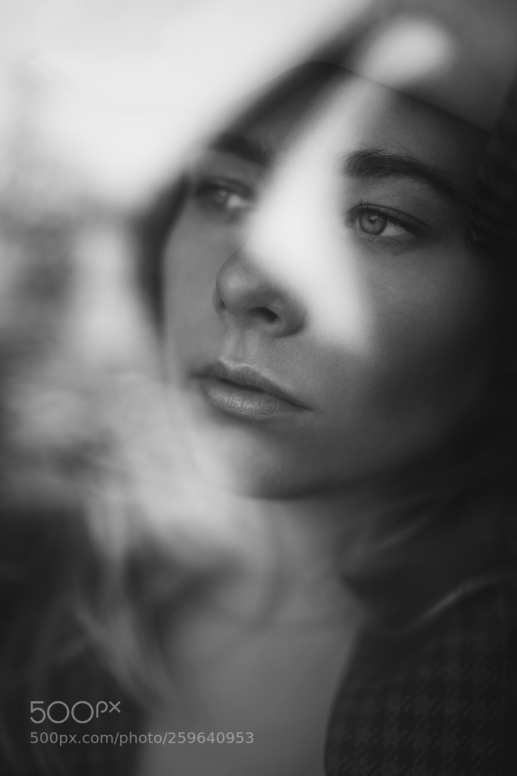 Canon EOS 5D Mark IV sample photo. Untitled photography