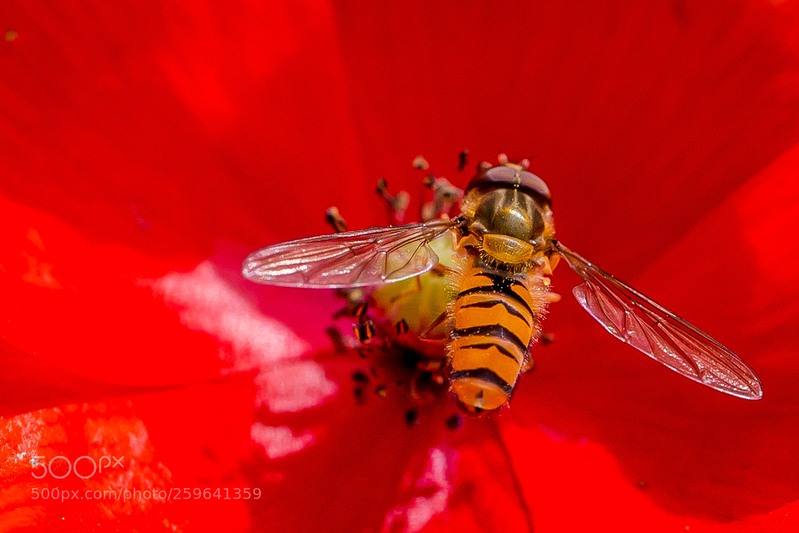 Canon EOS 6D sample photo. Untitled photography