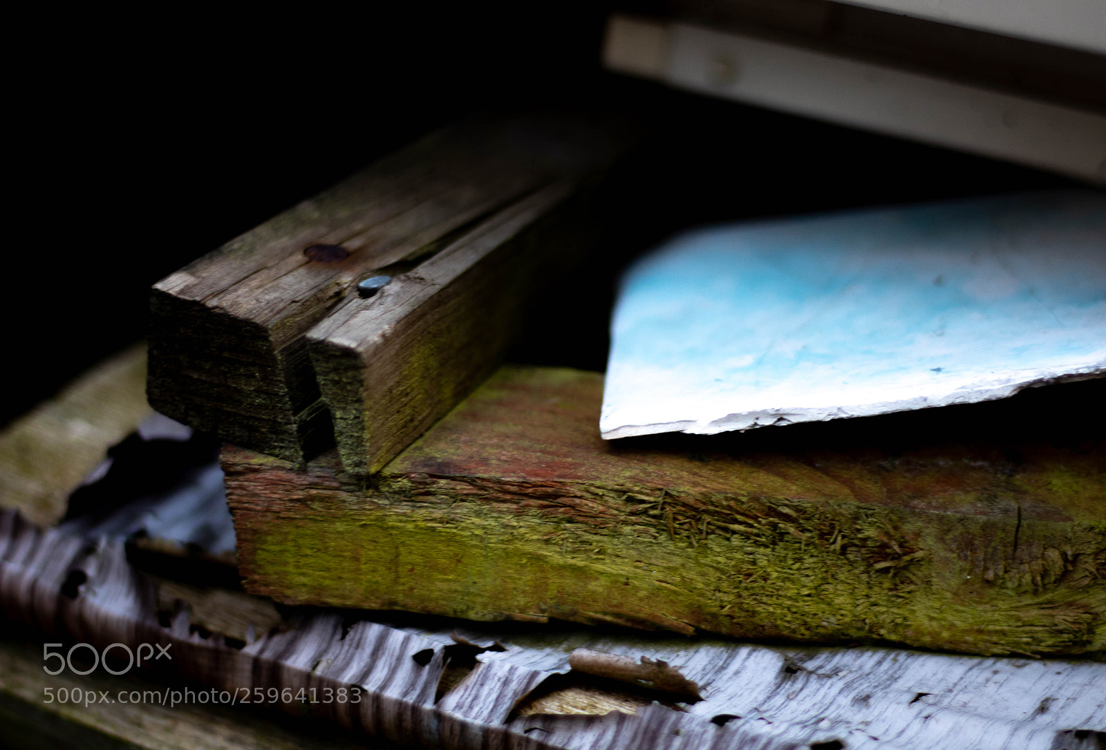 Canon EOS 1300D (EOS Rebel T6 / EOS Kiss X80) sample photo. Bit of old wood photography