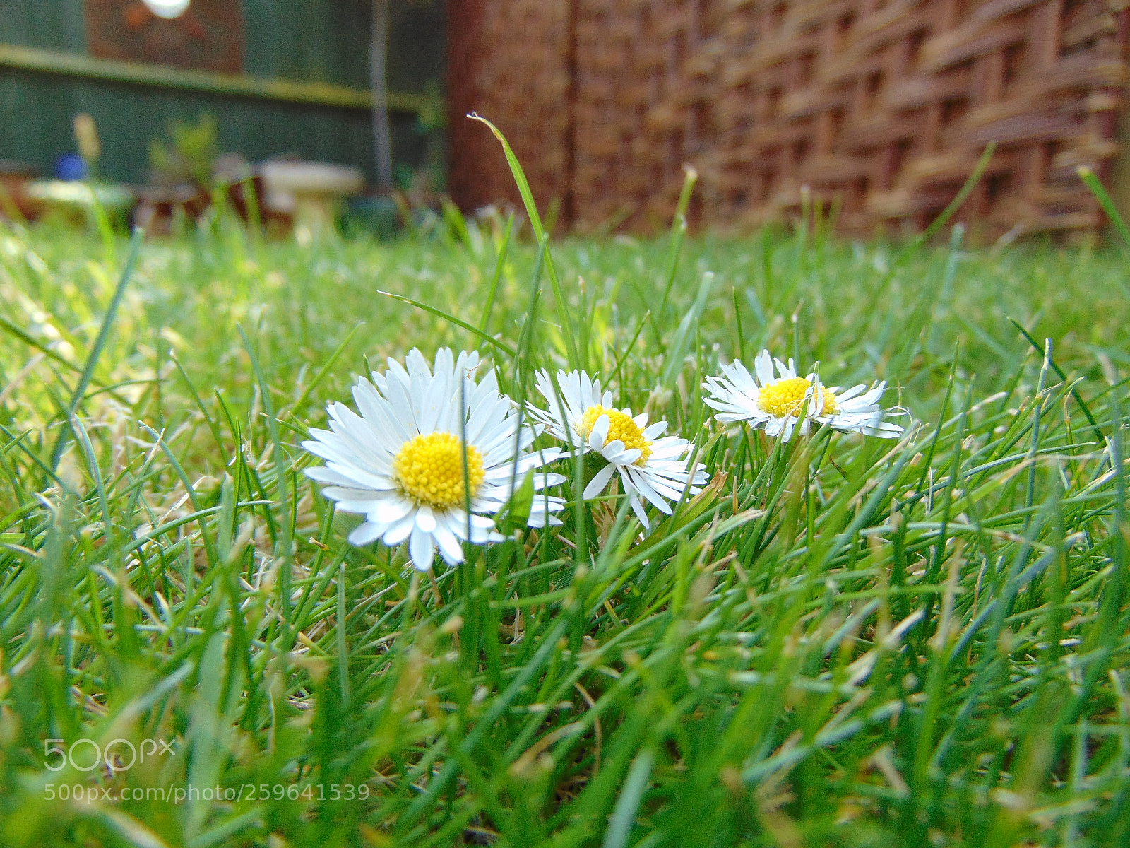 Sony Cyber-shot DSC-H300 sample photo. Dsc photography