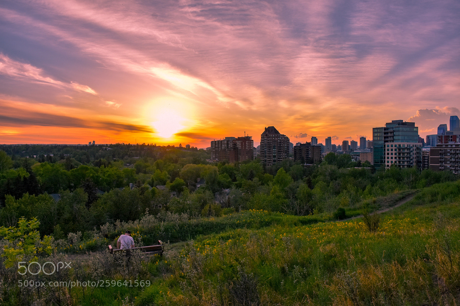 Nikon D7200 sample photo. Nature vs city a photography