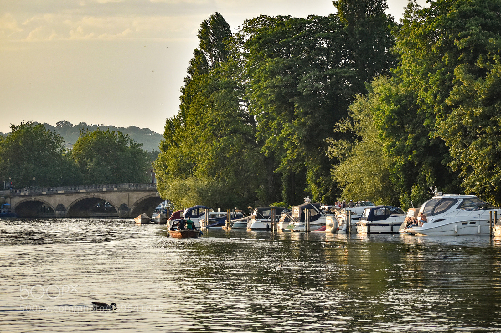 Nikon D3400 sample photo. Henley on thames photography