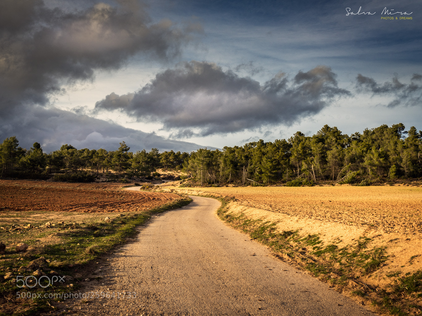 Sony a7 II sample photo. Camins del pa s photography