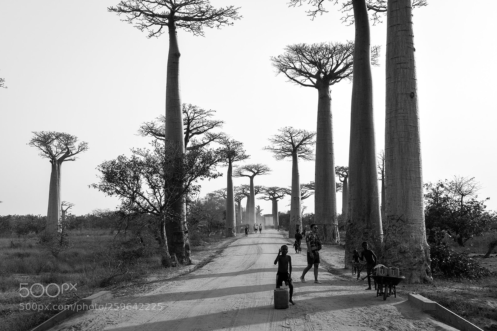 Nikon D600 sample photo. Madagascar photography