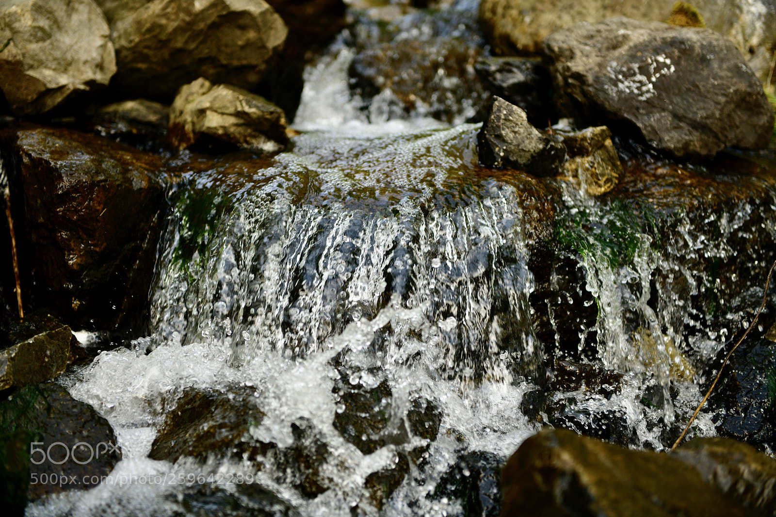 Nikon D850 sample photo. Eignerbach in velbert photography