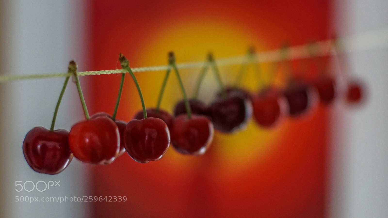 Sony a6000 sample photo. New style photography