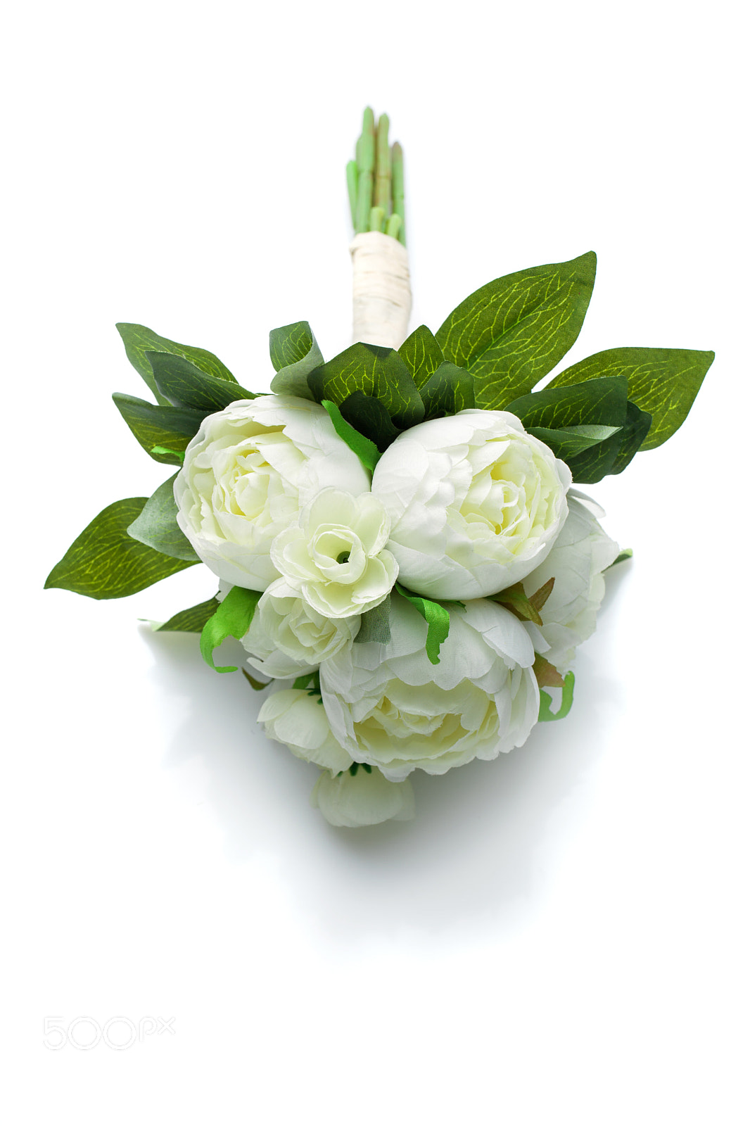 Canon EOS 5D Mark II sample photo. Peony flowers isolated on photography