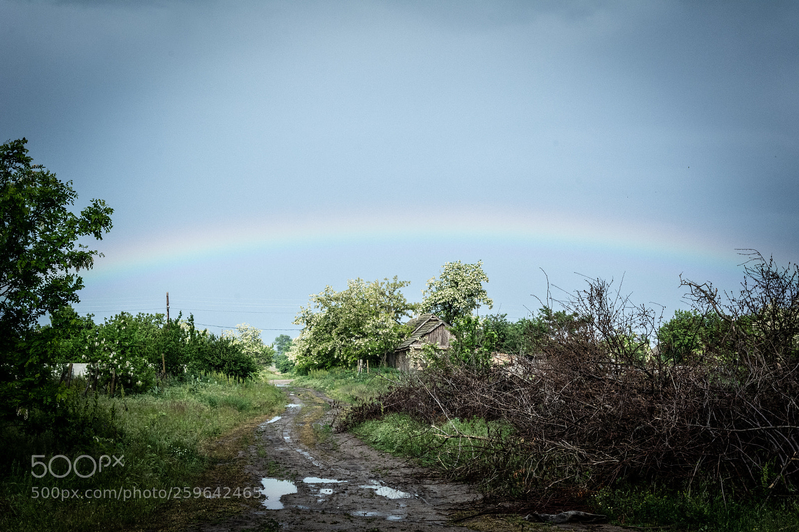 Nikon D7100 sample photo. Rainbow photography