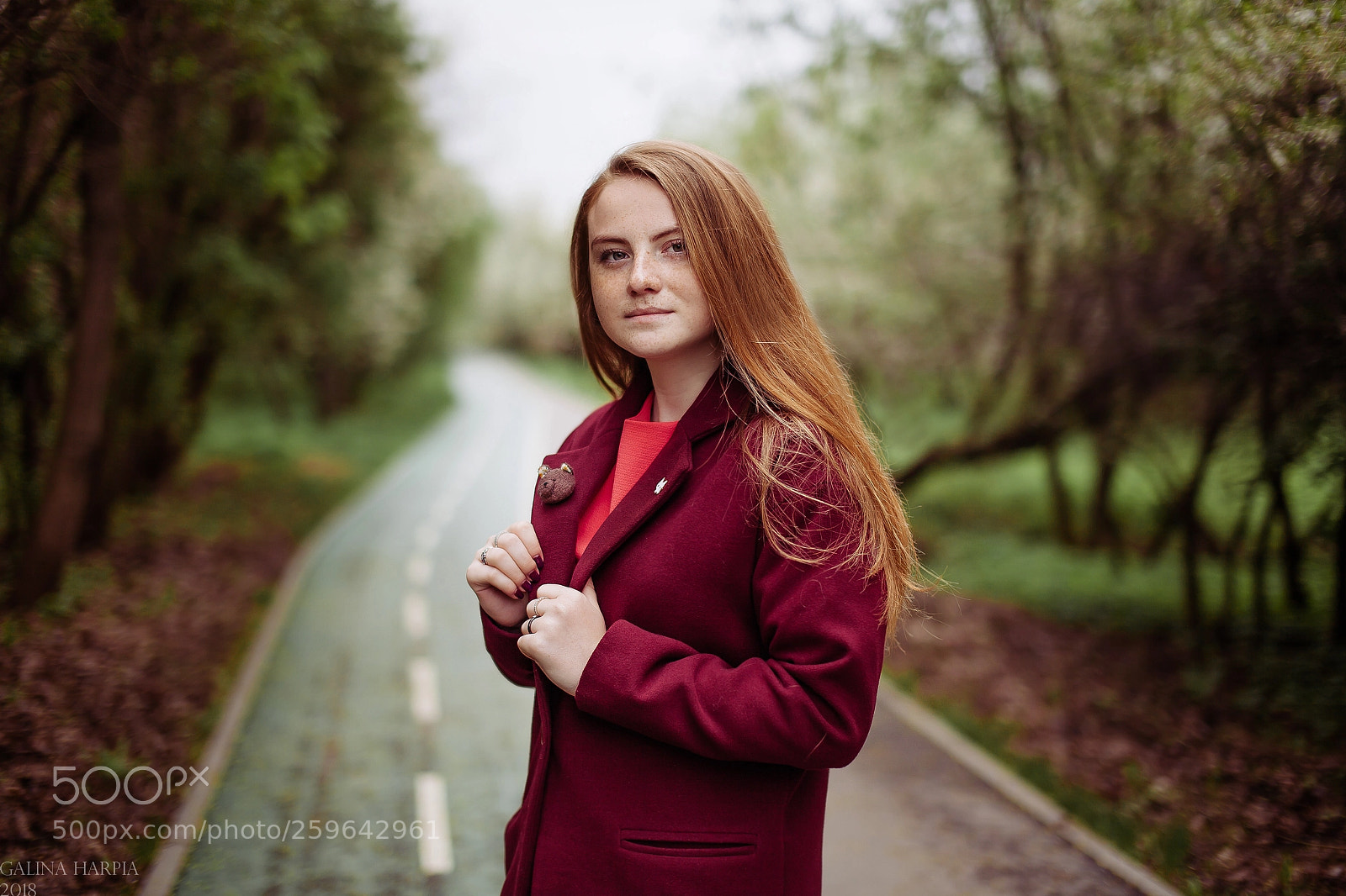 Canon EOS 5D Mark II sample photo. Rainy day photography