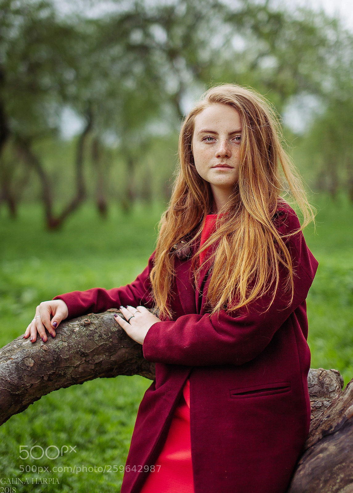 Canon EOS 5D Mark II sample photo. Rainy day photography