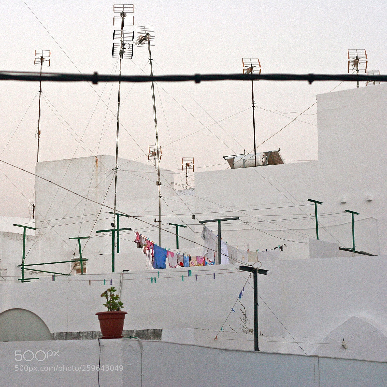 Canon EOS 20D sample photo. Clothesline  photography