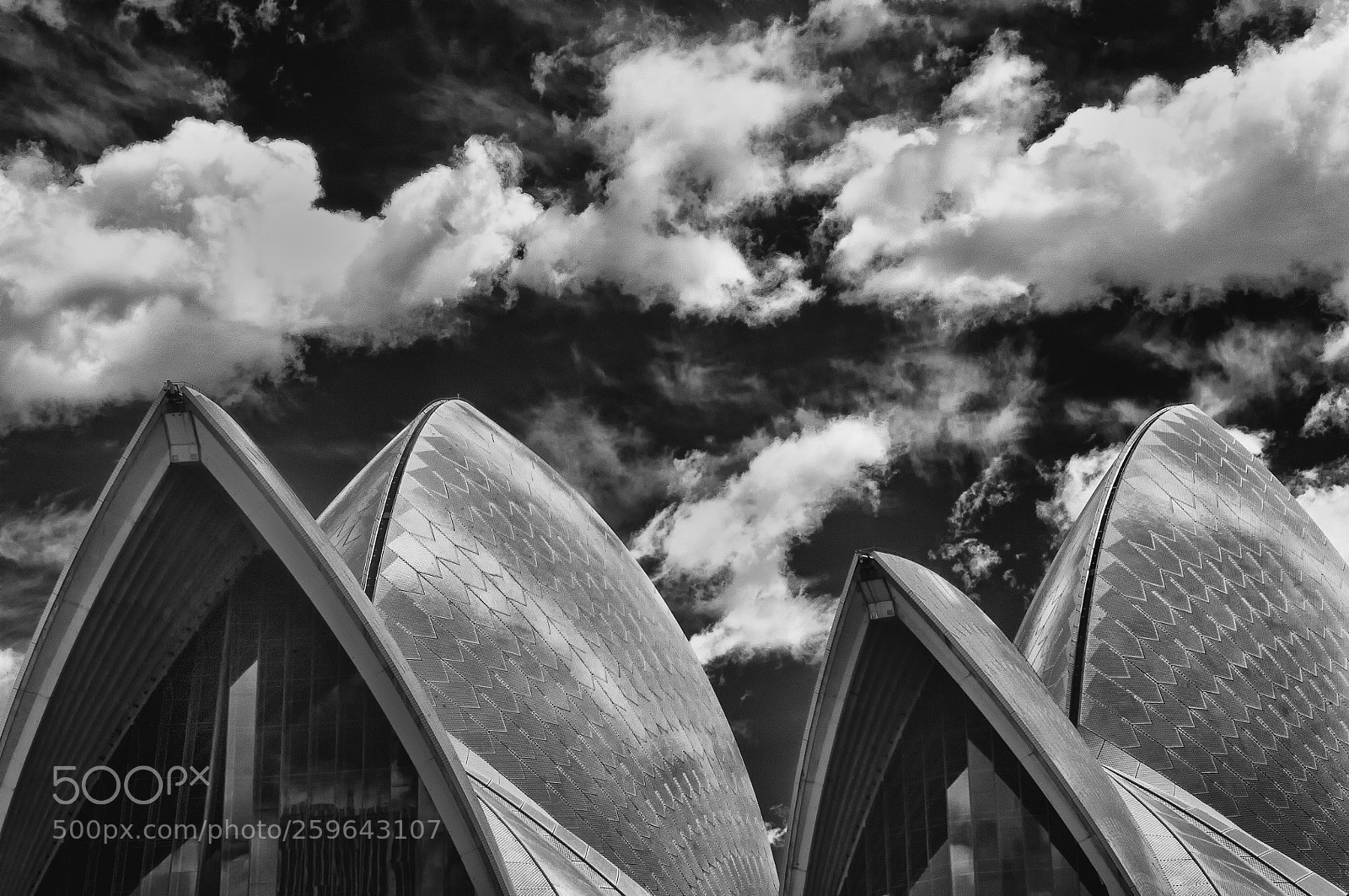 Nikon D300 sample photo. Sydney opera house photography