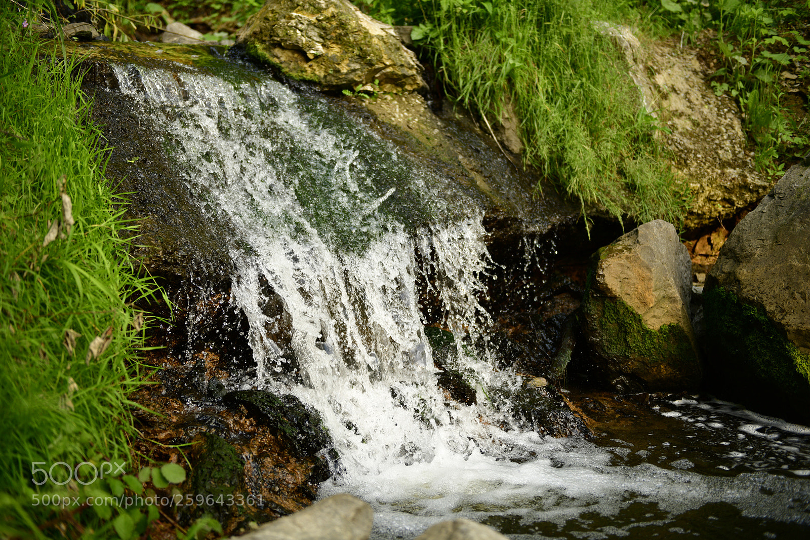 Nikon D850 sample photo. Eignerbach in velbert #2 photography