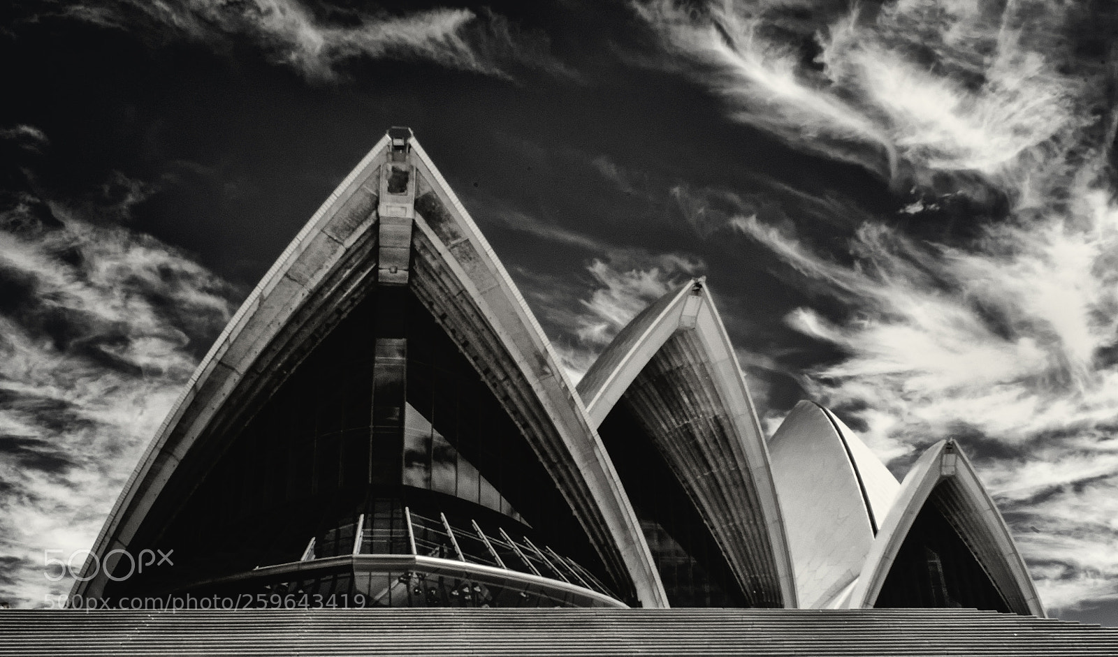 Nikon D300 sample photo. Opera house bw photography
