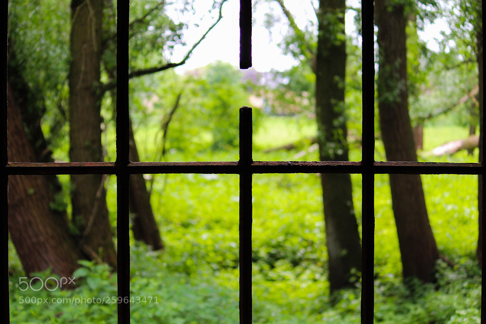 Canon EOS 1200D (EOS Rebel T5 / EOS Kiss X70 / EOS Hi) sample photo. Spring photography