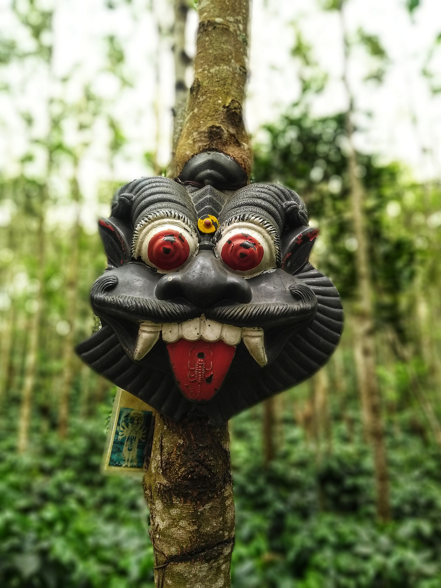 Motorola Moto G (5S) Plus sample photo