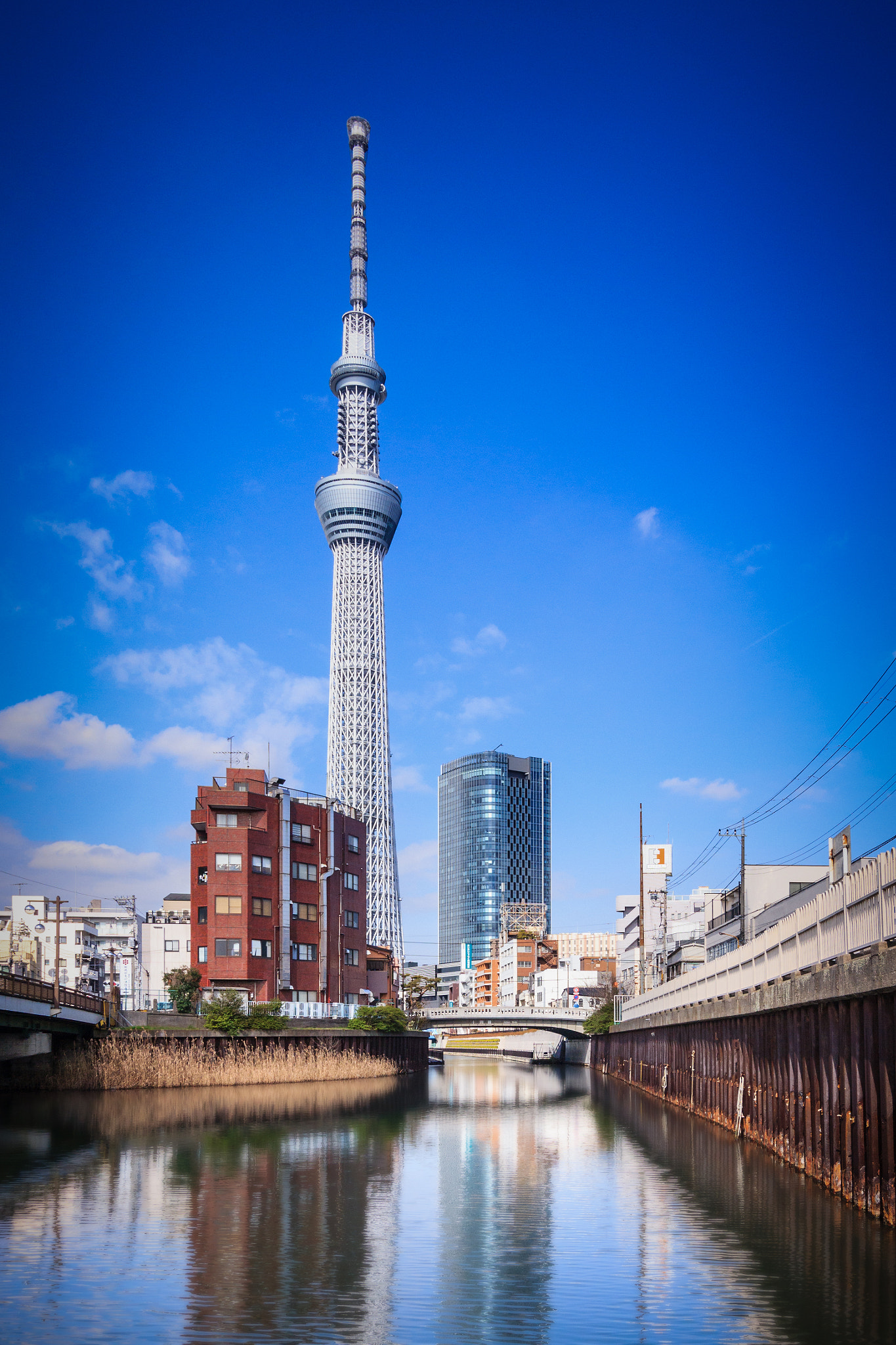 Canon EOS 600D (Rebel EOS T3i / EOS Kiss X5) sample photo. Tokyo skytree photography