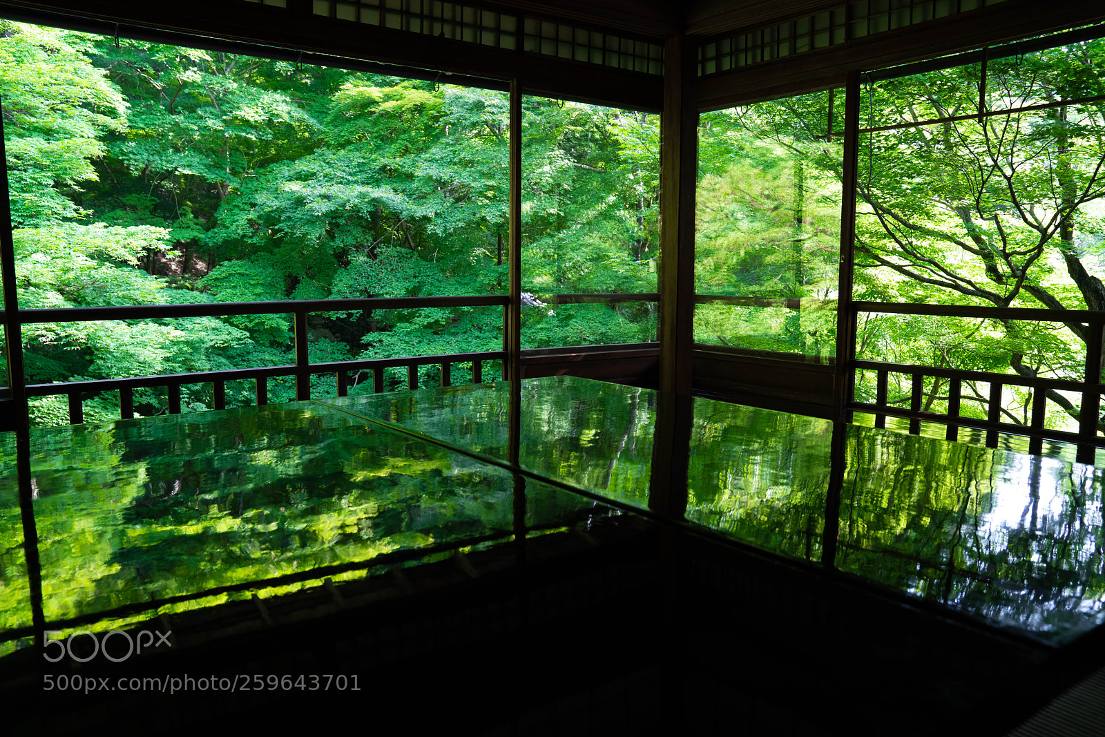 Sony a7R III sample photo. View from the window photography