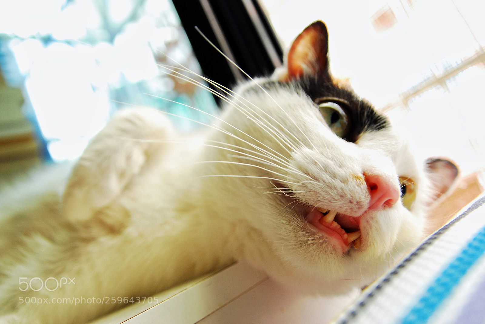 Nikon D80 sample photo. Untitled photography