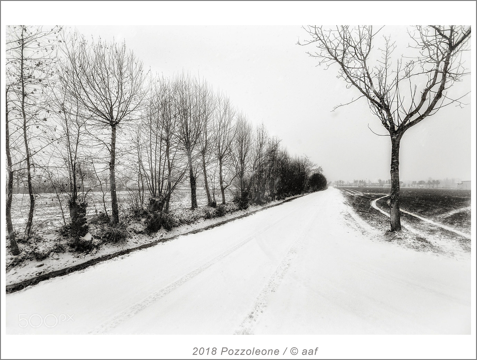 Canon EOS 5D Mark II sample photo. 2018 pozzoleone photography