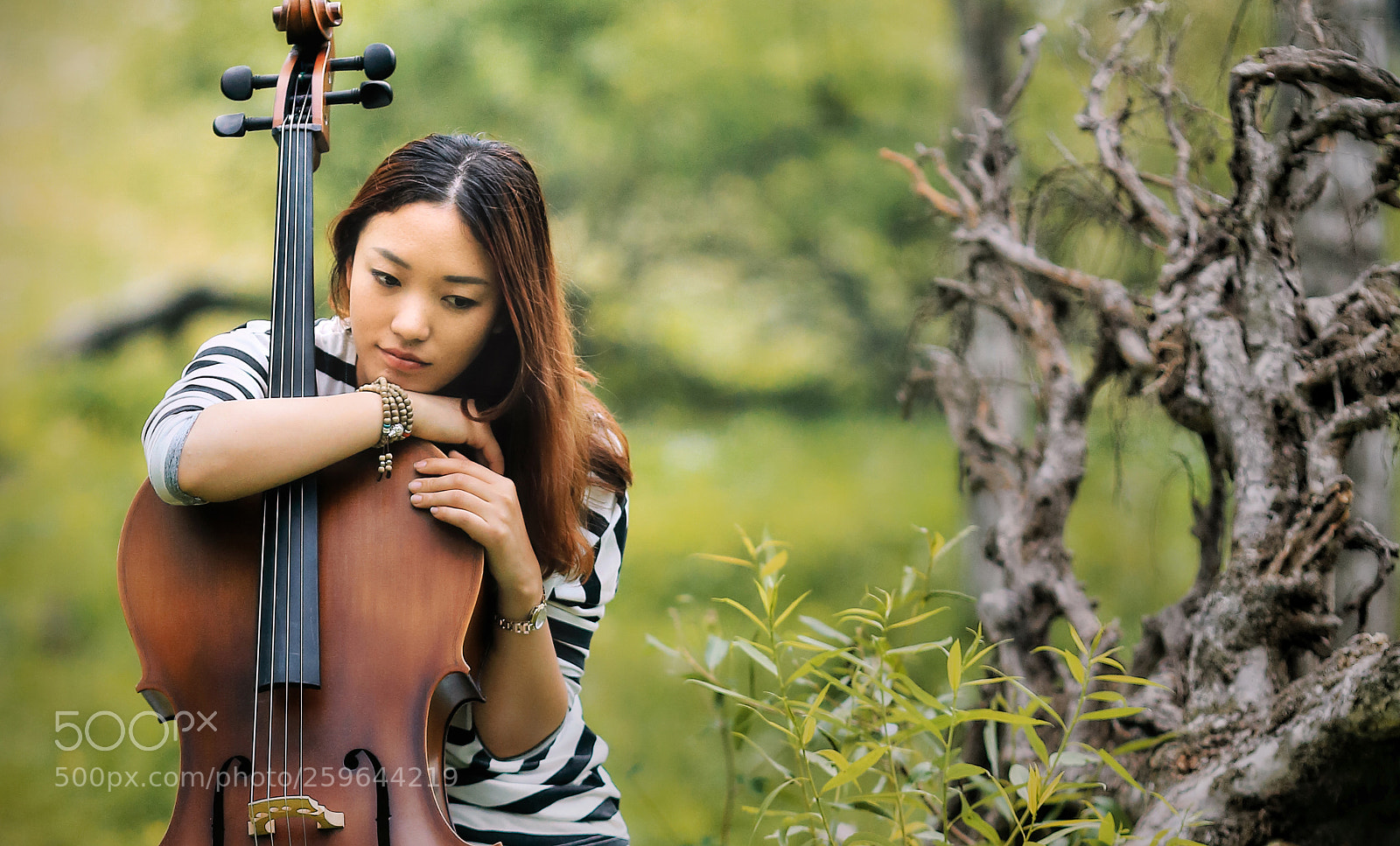 Canon EOS 5D Mark II sample photo. Summer days... the faint photography