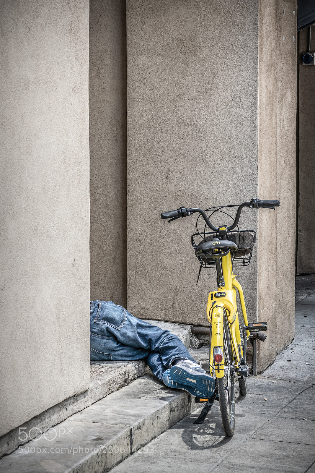 Nikon D5300 sample photo. The nap photography