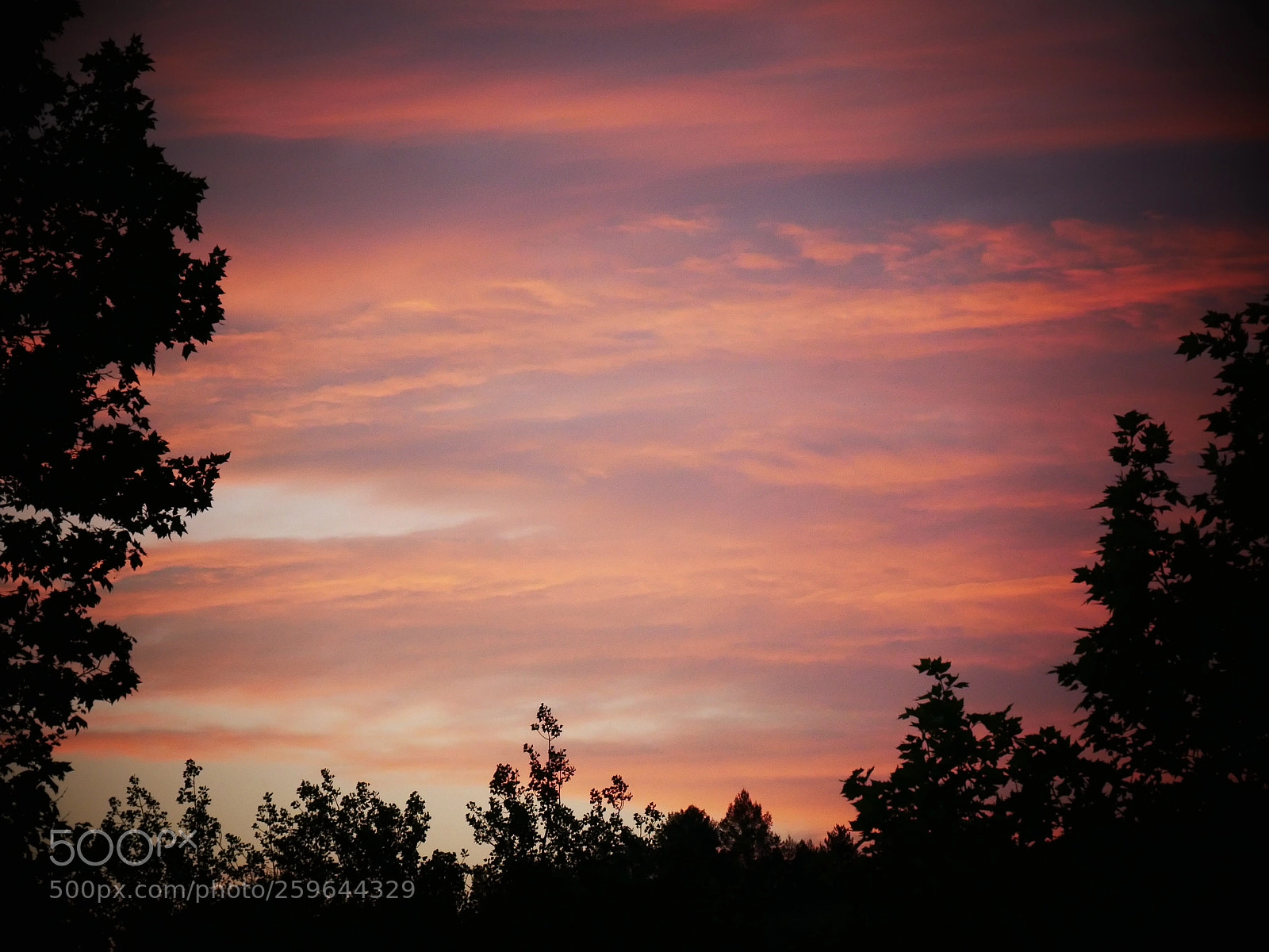 Panasonic Lumix DMC-GX85 (Lumix DMC-GX80 / Lumix DMC-GX7 Mark II) sample photo. Orange skies photography