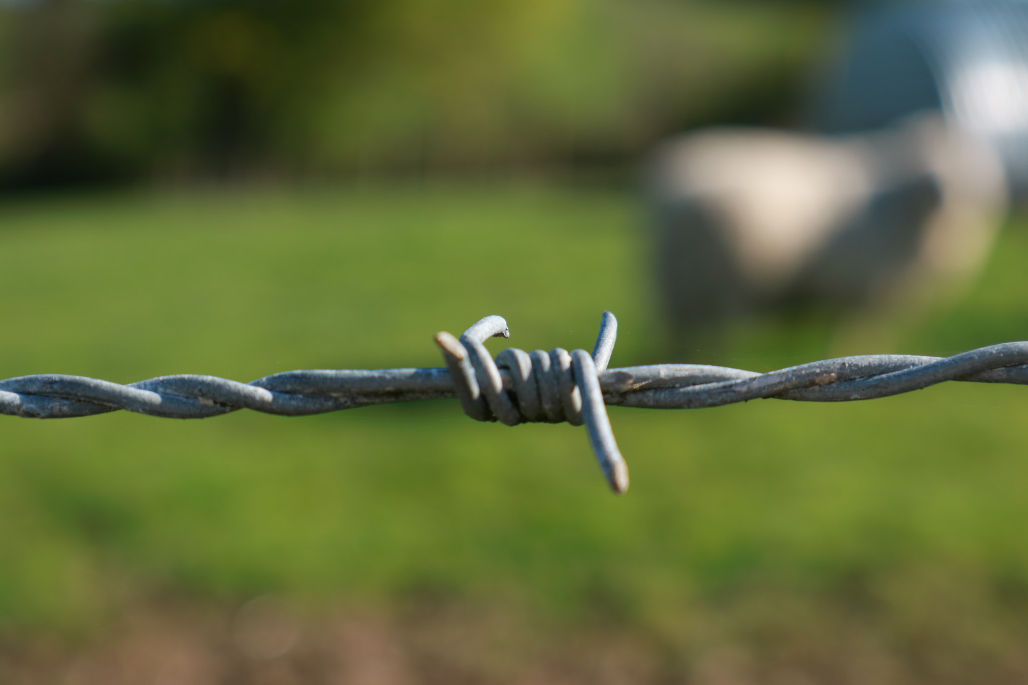 Canon EOS M3 sample photo. Barbed wire at farm photography