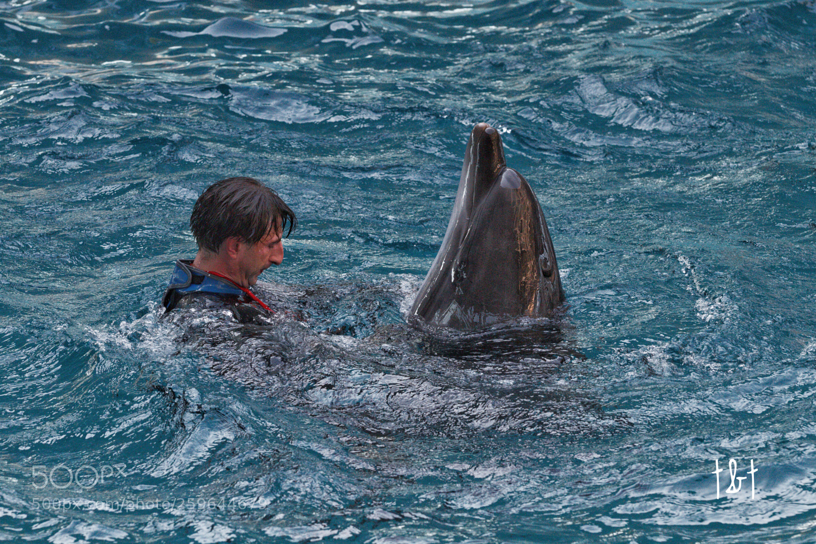Canon EOS 7D sample photo. Untitled photography