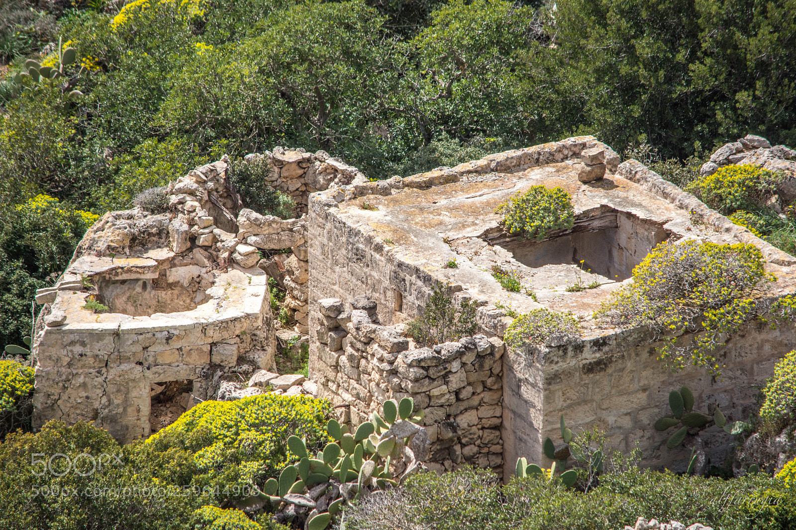 Nikon D7200 sample photo. Malta countryside - ruins photography