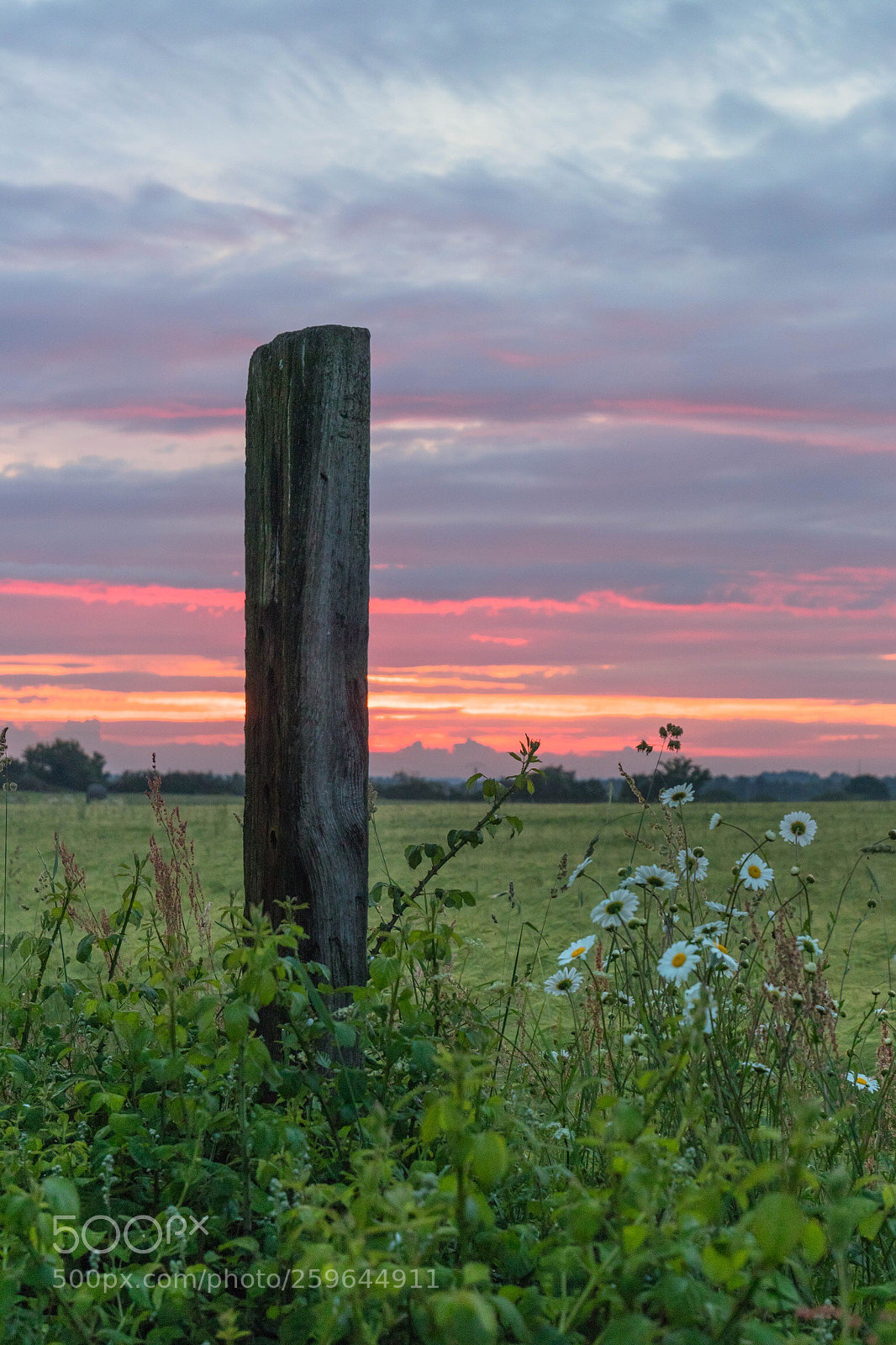 Canon EOS 80D sample photo. Coucher sur le champs !! photography