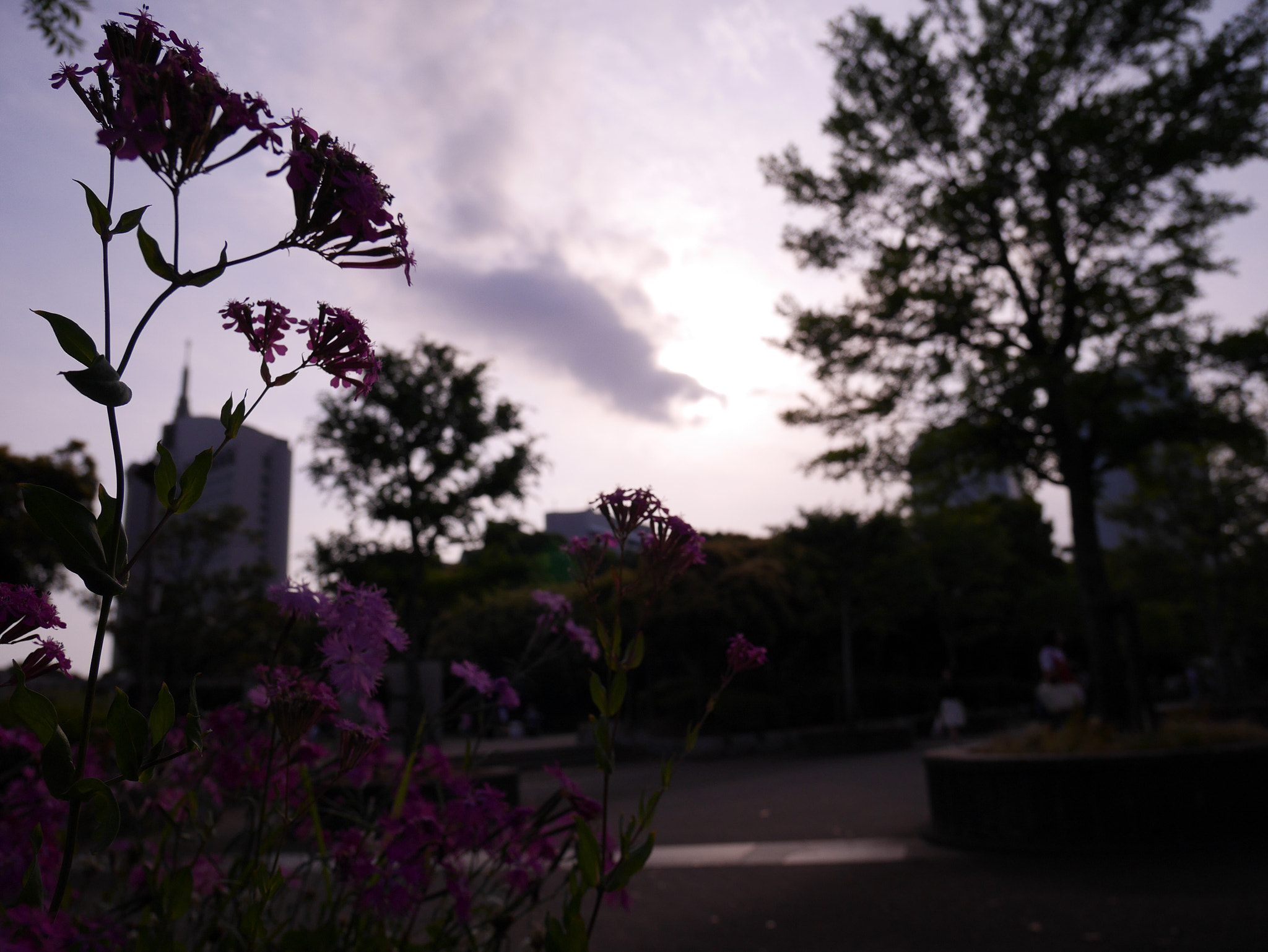 Panasonic Lumix DMC-GF7 sample photo