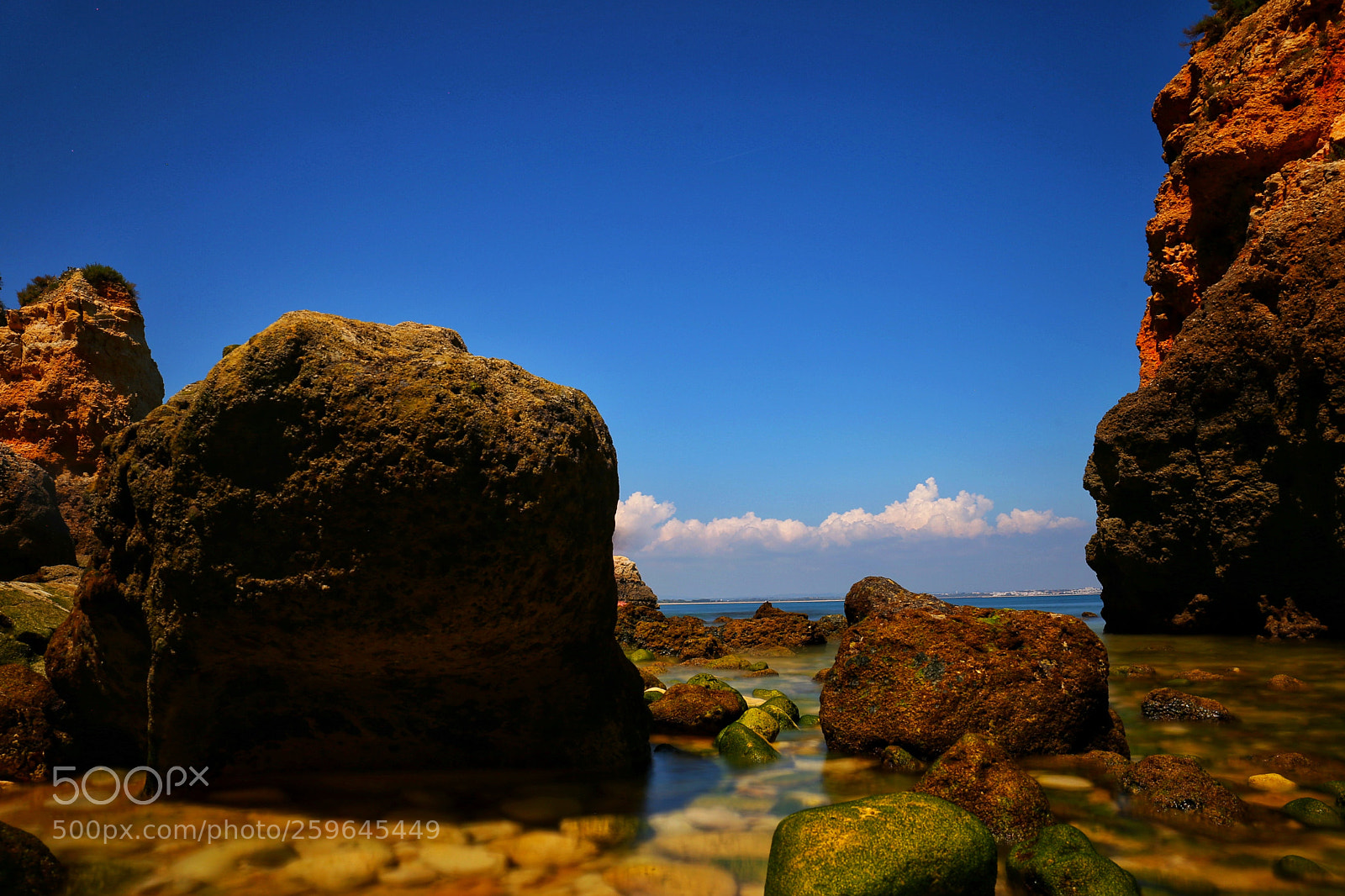 Canon EOS 6D sample photo. Untitled photography