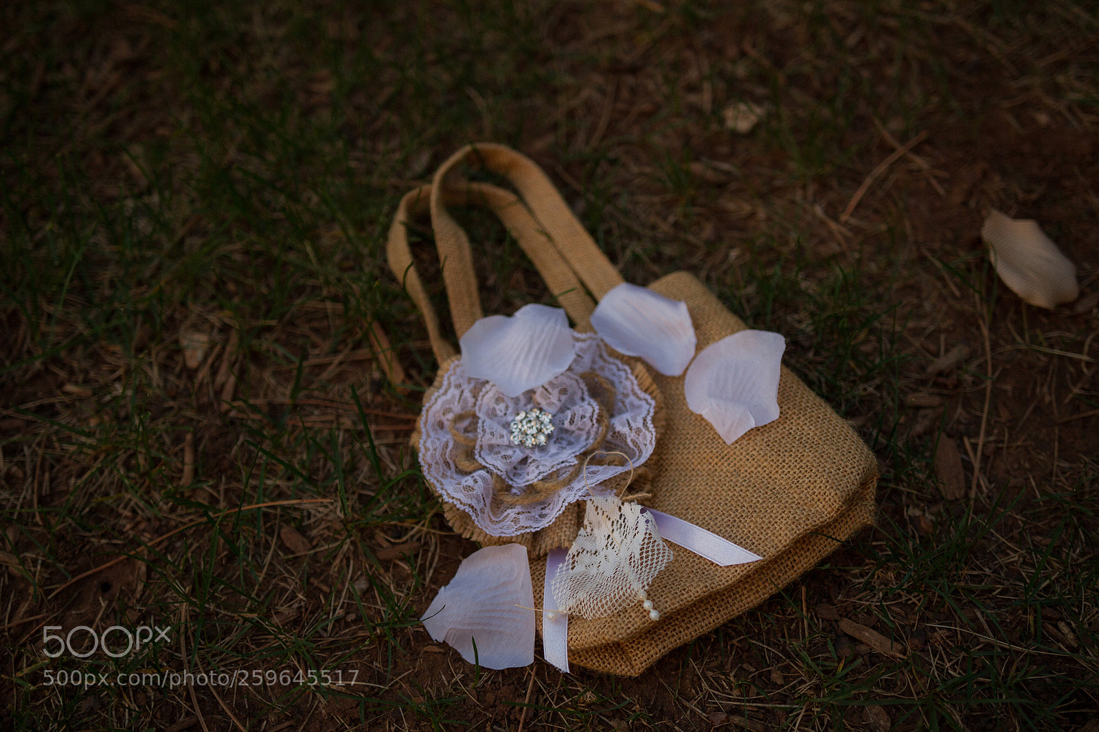 Canon EOS 7D sample photo. Flower bag photography