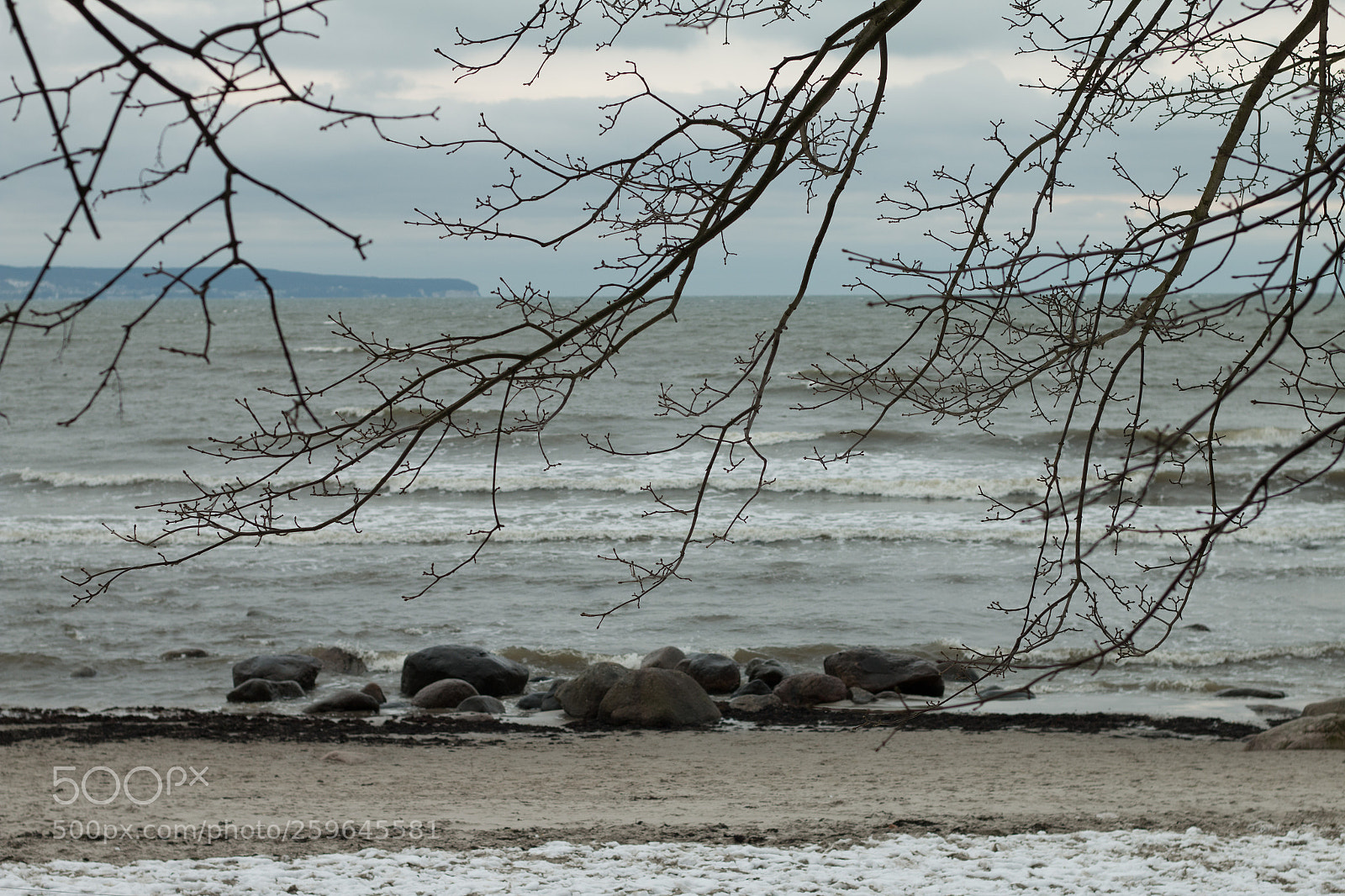 Canon EOS 70D sample photo. Looking through some branches photography