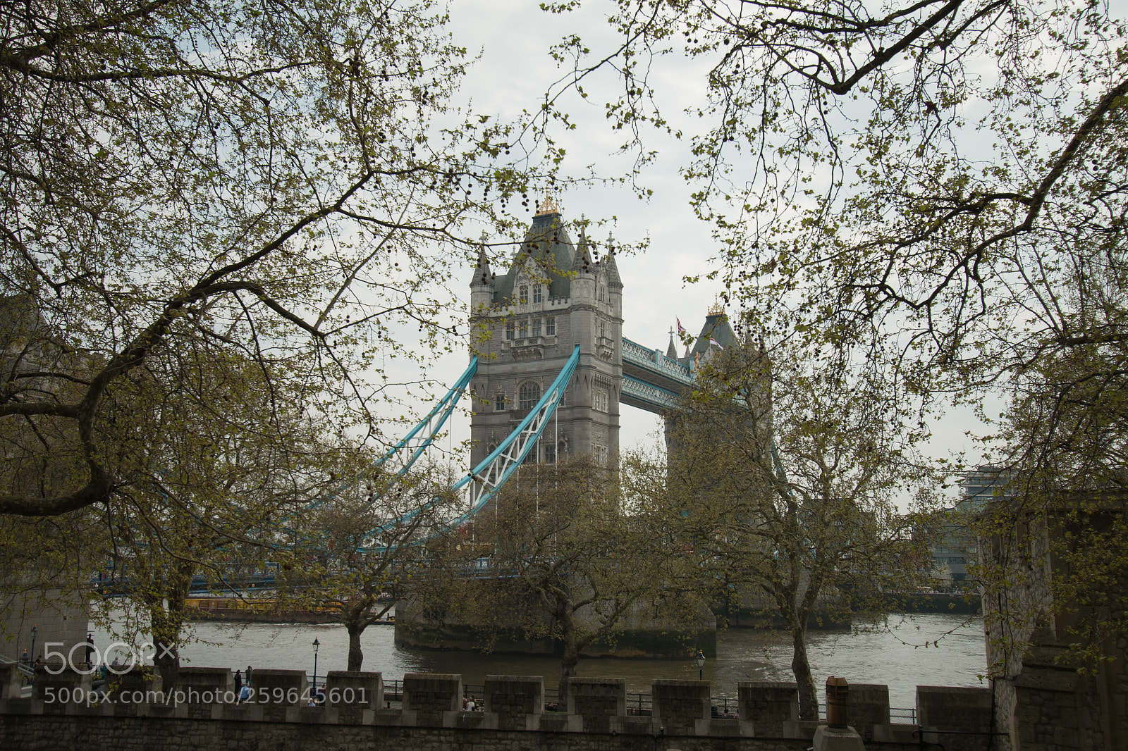 Canon EOS 70D sample photo. Tower bridge photography