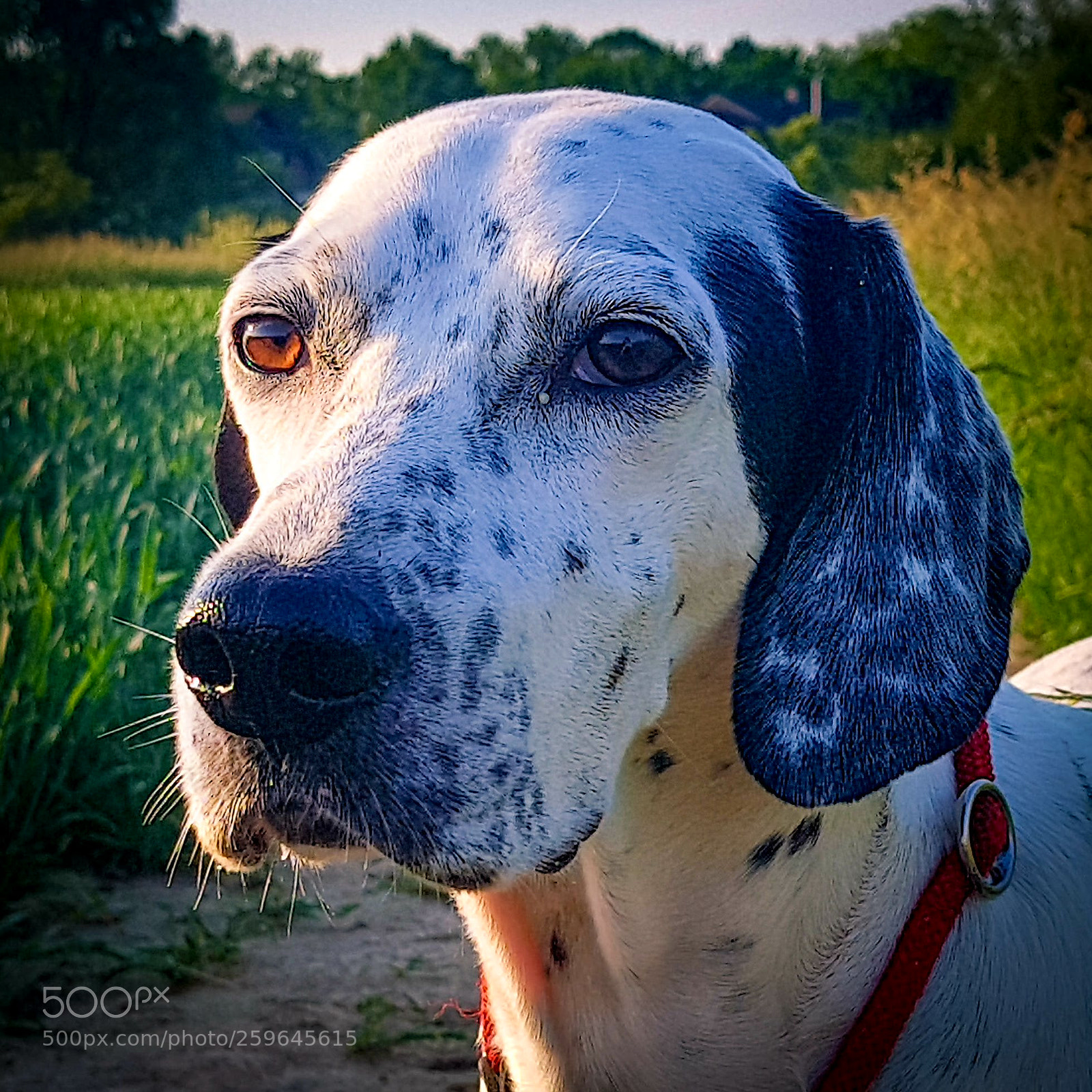 Samsung Galaxy S7 sample photo. Untitled photography