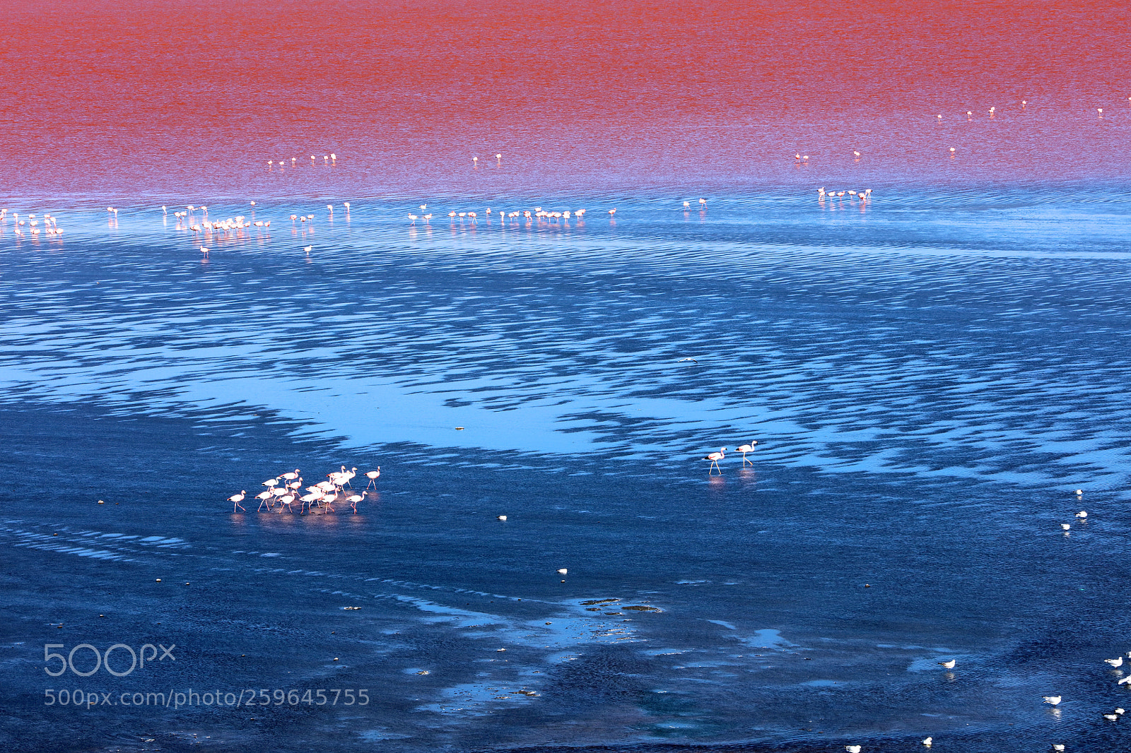 Canon EOS 5DS sample photo. The colored lagoon photography