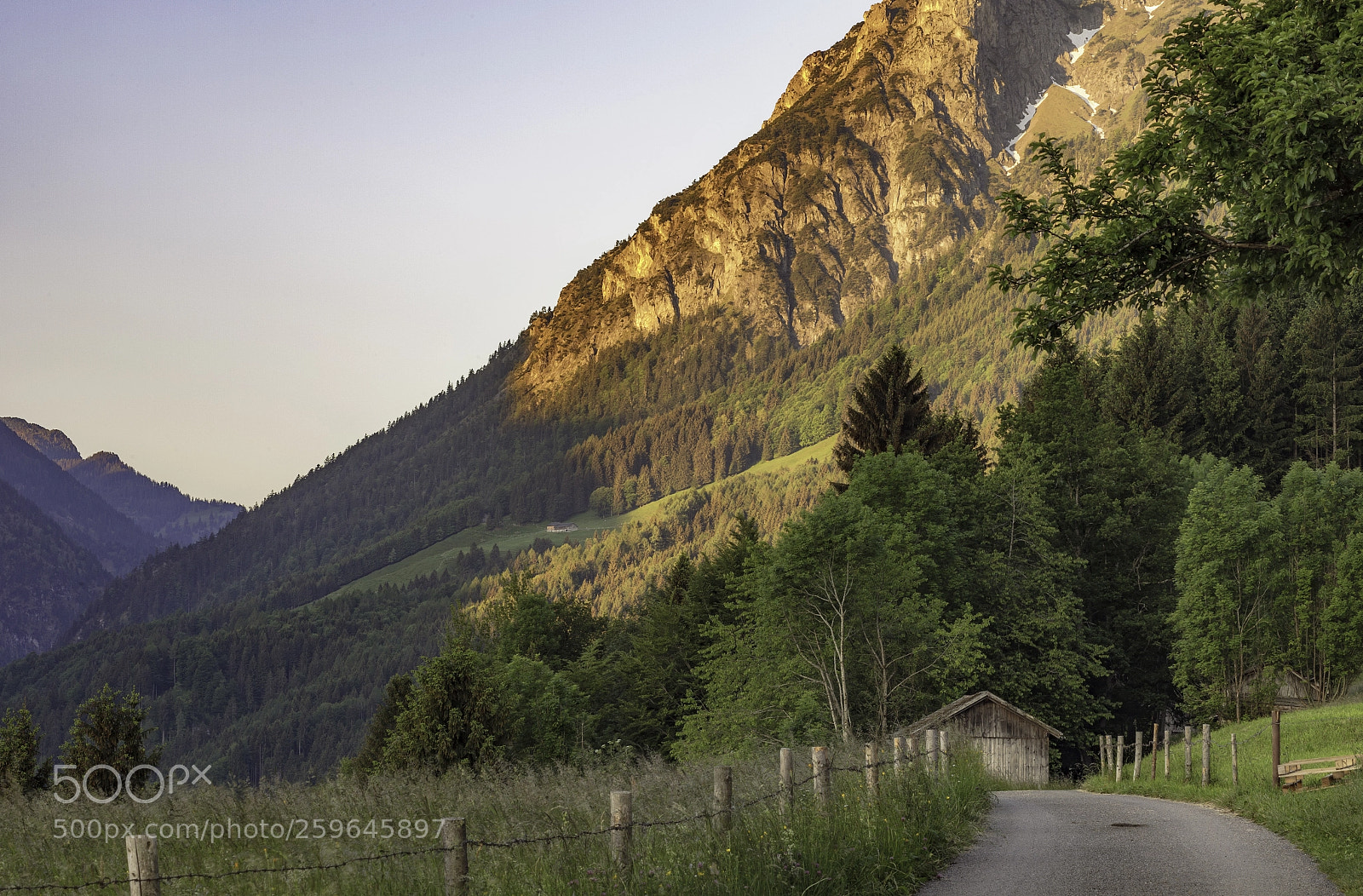 Canon EOS 5D Mark II sample photo. Untitled photography