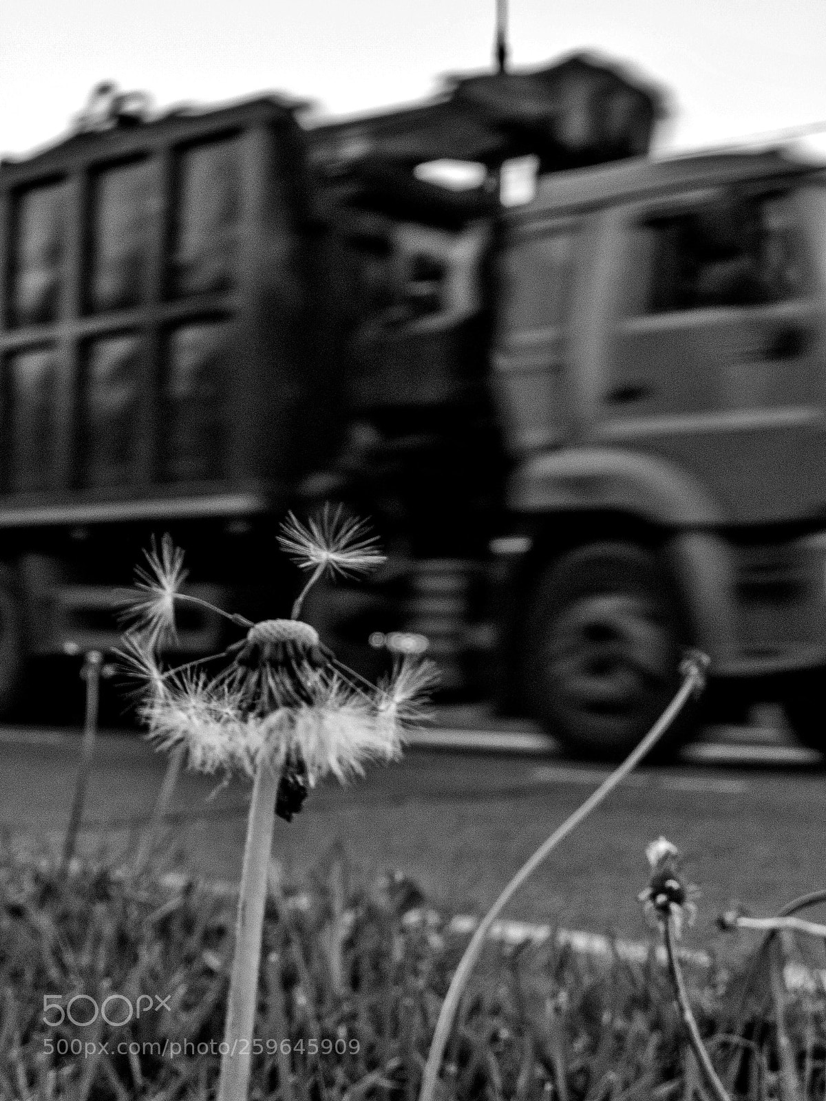 Apple iPhone 7 Plus sample photo. Iphoneography photography