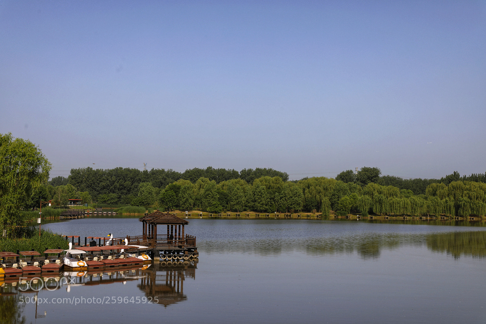 Canon EOS 5D Mark IV sample photo. Untitled photography