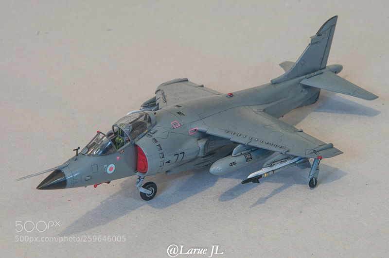 Nikon D300S sample photo. Jll_0487-1.jpg photography