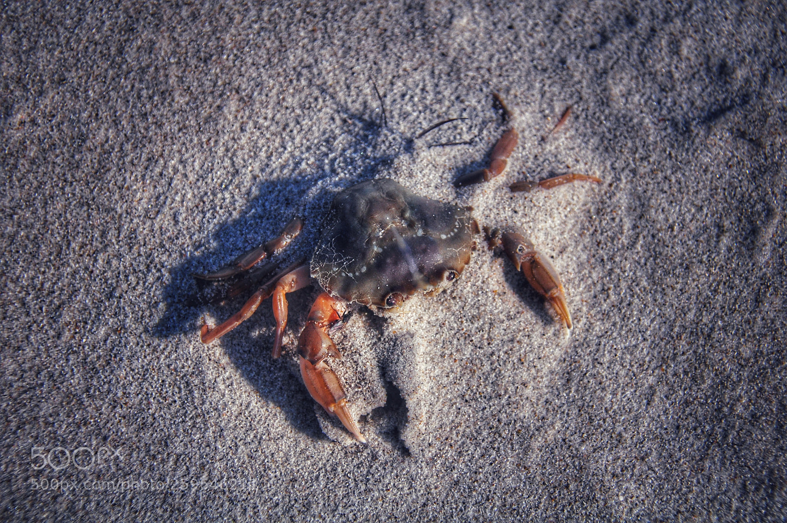 Nikon D90 sample photo. Beach photography