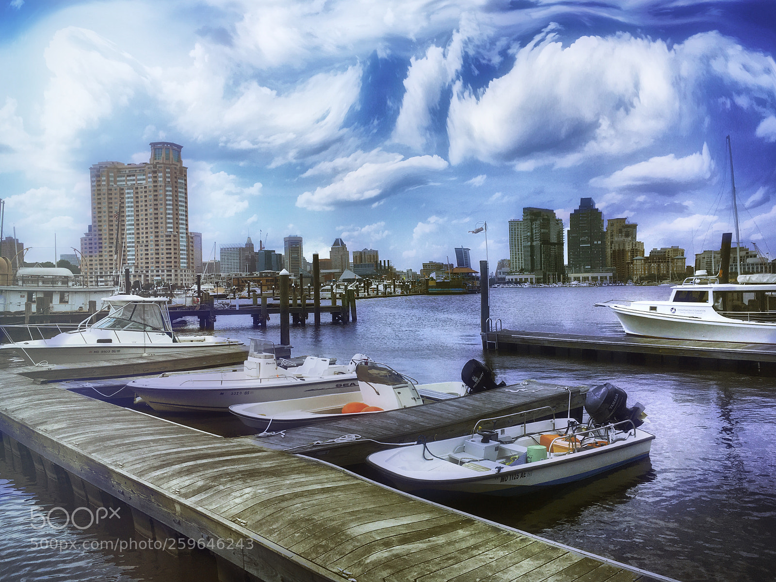Apple iPhone SE sample photo. Docks at baltimore harbor photography