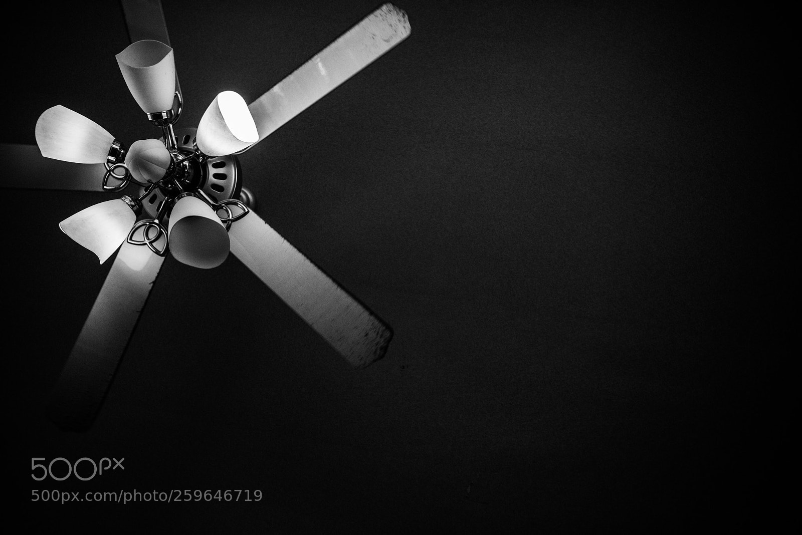 Nikon D810 sample photo. Over head photography