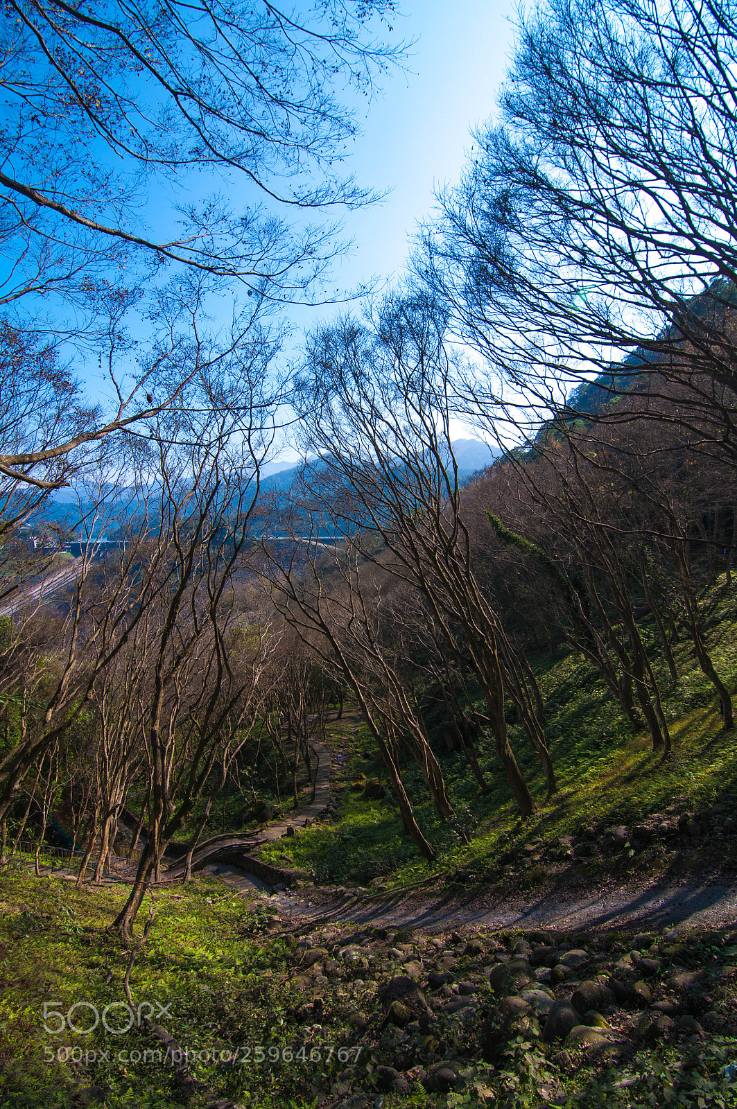 Nikon D90 sample photo. Nice wether photography